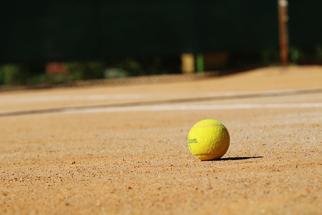 Kde se uplatní rezervační systém pro sportoviště
